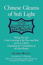 Load image into Gallery viewer, Chinese Gleams of Sufi Light: Wang Tai-yu's Great Learning of the Pure and Real and Liu Chih's Displaying the Concealment of the Real Realm